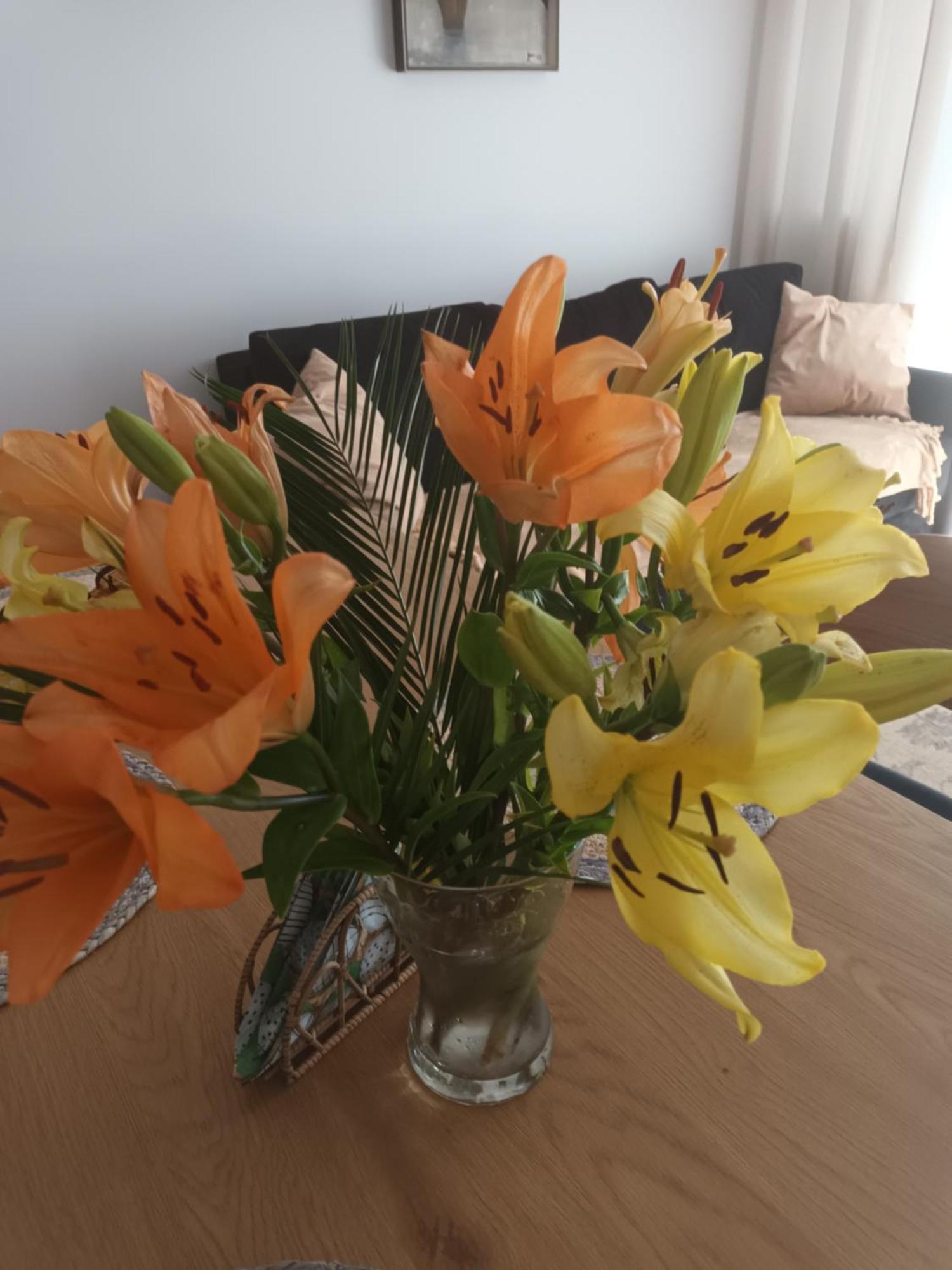 Apartament Lilla 2 Jelenia Góra Zewnętrze zdjęcie